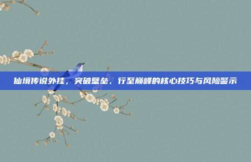 仙境传说外挂,突破壁垒、行至巅峰的核心技巧与风险警示
