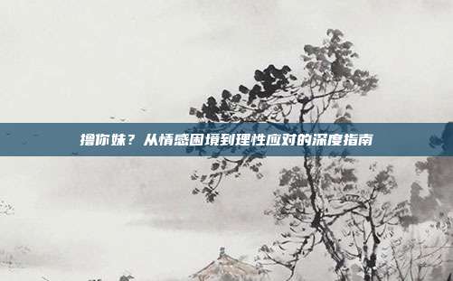 撸你妹？从情感困境到理性应对的深度指南