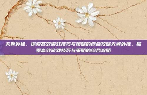 天翼外挂，探索高效游戏技巧与策略的综合攻略天翼外挂，探索高效游戏技巧与策略的综合攻略