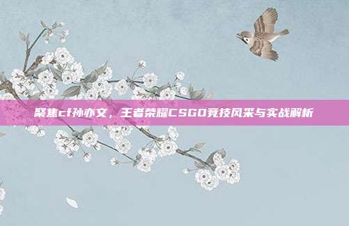 聚焦cf孙亦文,王者荣耀CSGO竞技风采与实战解析