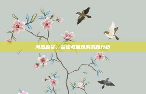 问道盗号，警惕与应对的策略分析