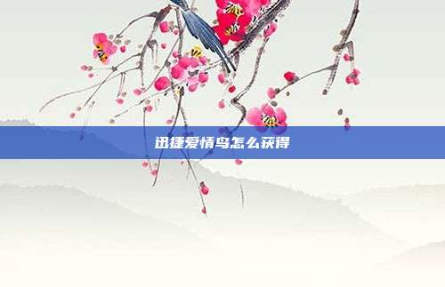 迅捷爱情鸟怎么获得