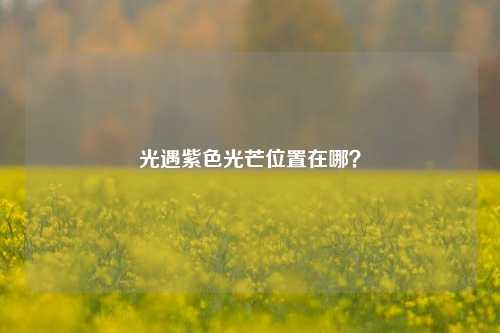光遇紫色光芒位置在哪?