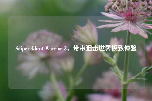 Sniper Ghost Warrior 3,带来狙击世界极致体验