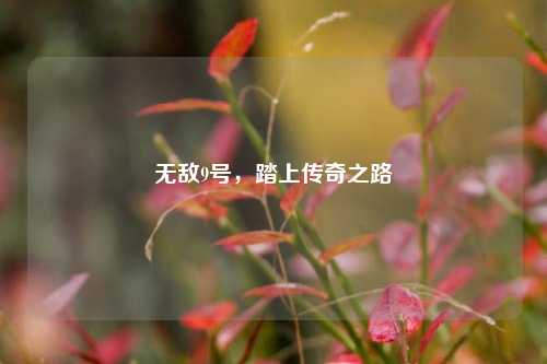无敌9号,踏上传奇之路