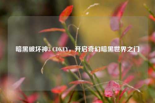 暗黑破坏神3 CDKEY,开启奇幻暗黑世界之门