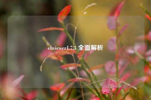 ehviewer1.7.3 全面解析