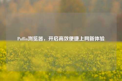 Puffin浏览器,开启高效便捷上网新体验