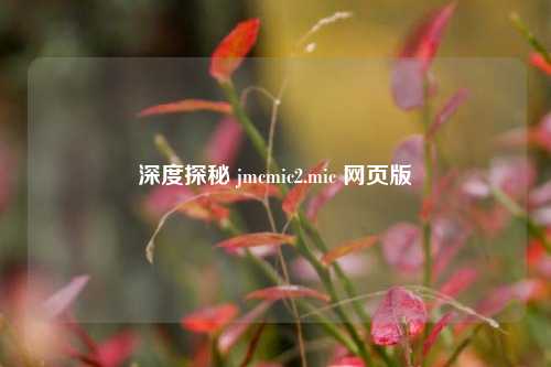 深度探秘 jmcmic2.mic 网页版
