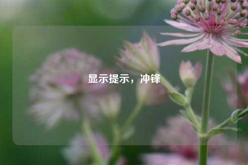 显示提示,冲锋