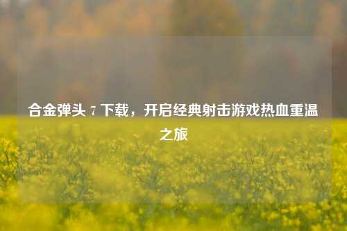 合金弹头 7 下载,开启经典射击游戏热血重温之旅