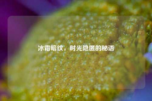 冰霜暗纹,时光隐匿的秘语