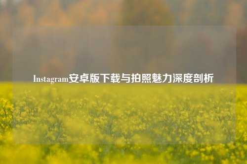 Instagram安卓版下载与拍照魅力深度剖析