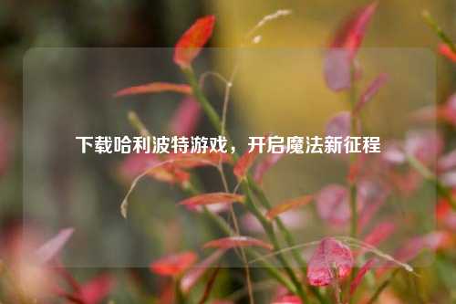 下载哈利波特游戏,开启魔法新征程