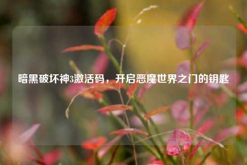 暗黑破坏神3激活码,开启恶魔世界之门的钥匙