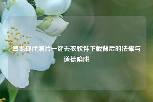 警惕现代照片一键去衣软件下载背后的法律与道德陷阱