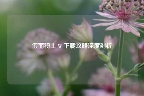 假面骑士 W 下载攻略深度剖析