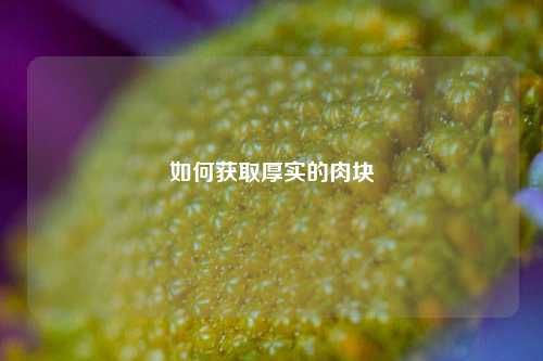 如何获取厚实的肉块