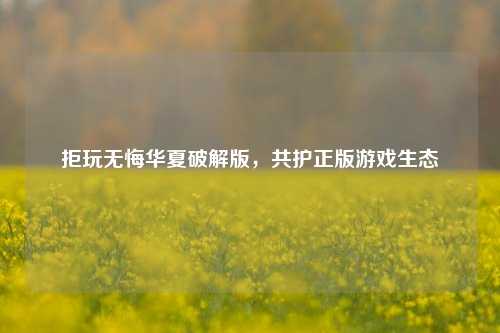 拒玩无悔华夏破解版,共护正版游戏生态