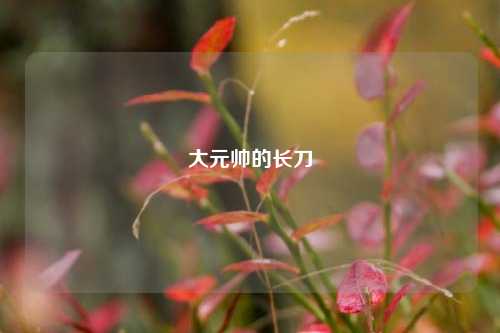 大元帅的长刀