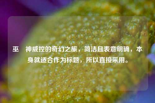 巫剣神威控的奇幻之旅，简洁且表意明确，本身就适合作为标题，所以直接采用。