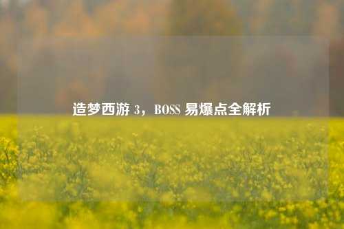 造梦西游 3,BOSS 易爆点全解析