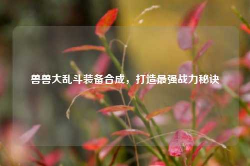兽兽大乱斗装备合成,打造最强战力秘诀