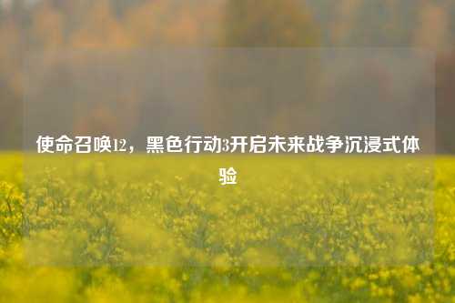 使命召唤12,黑色行动3开启未来战争沉浸式体验