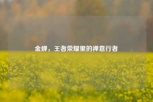 金蝉,王者荣耀里的禅意行者