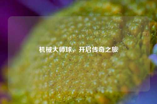 机械大师球,开启传奇之旅