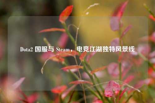 Dota2 国服与 Steam，电竞江湖独特风景线