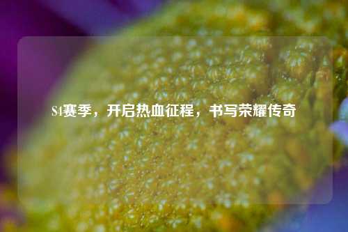 S4赛季,开启热血征程,书写荣耀传奇