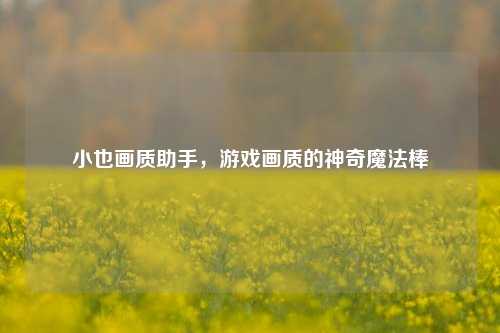 小也画质助手,游戏画质的神奇魔法棒