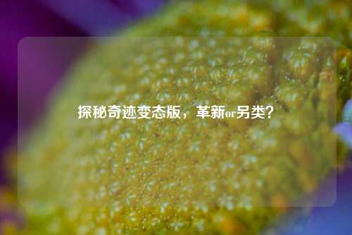 探秘奇迹变态版，革新or另类？