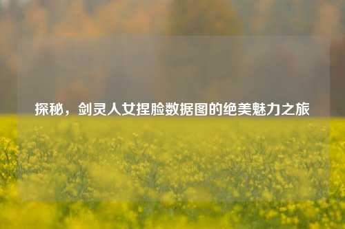 探秘,剑灵人女捏脸数据图的绝美魅力之旅