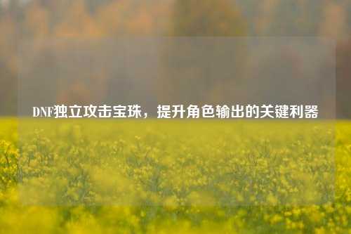 DNF独立攻击宝珠,提升角色输出的关键利器