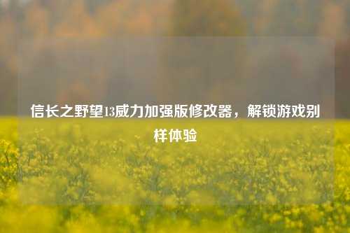 信长之野望13威力加强版修改器，解锁游戏别样体验