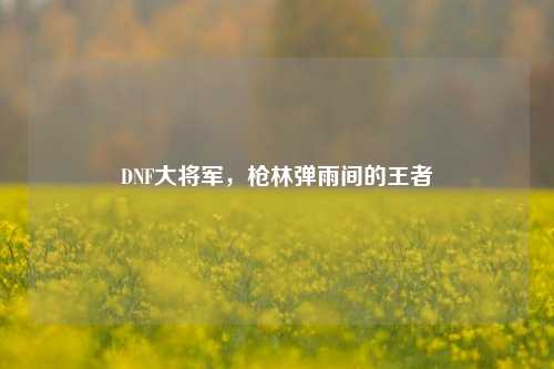 DNF大将军，枪林弹雨间的王者