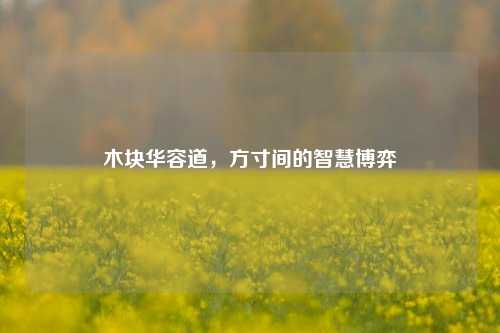 木块华容道,方寸间的智慧博弈