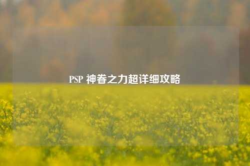 PSP 神眷之力超详细攻略