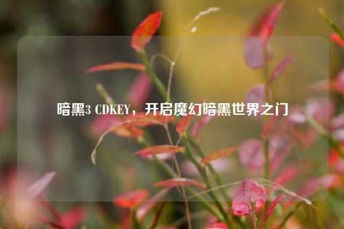 暗黑3 CDKEY,开启魔幻暗黑世界之门