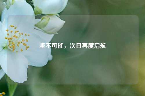 坚不可摧，次日再度启航