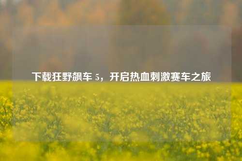 下载狂野飙车 5,开启热血刺激赛车之旅