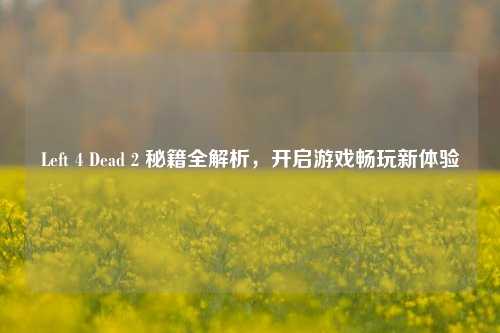 Left 4 Dead 2 秘籍全解析,开启游戏畅玩新体验