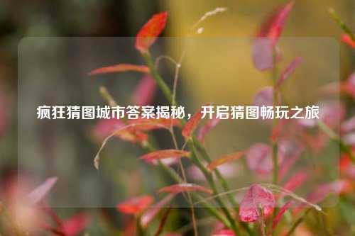 疯狂猜图城市答案揭秘,开启猜图畅玩之旅