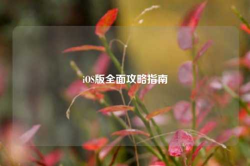 iOS版全面攻略指南