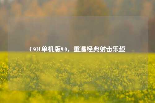 CSOL单机版9.0,重温经典射击乐趣