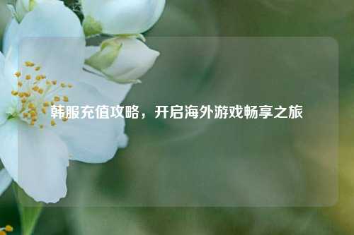 韩服充值攻略,开启海外游戏畅享之旅