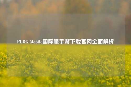 PUBG Mobile国际服手游下载官网全面解析