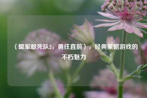 〈盟军敢死队2,勇往直前〉,经典策略游戏的不朽魅力